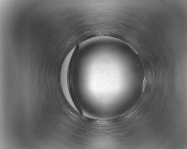 X0000060740766200512011420