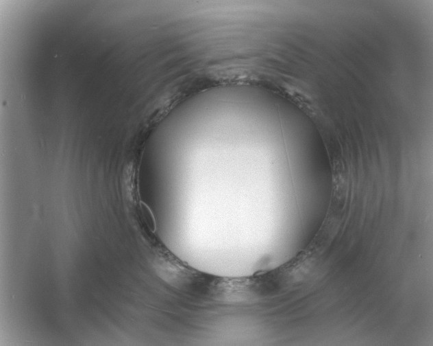 X0000060740767200512011420