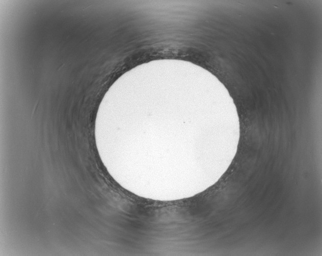 X0000060740769200512011419