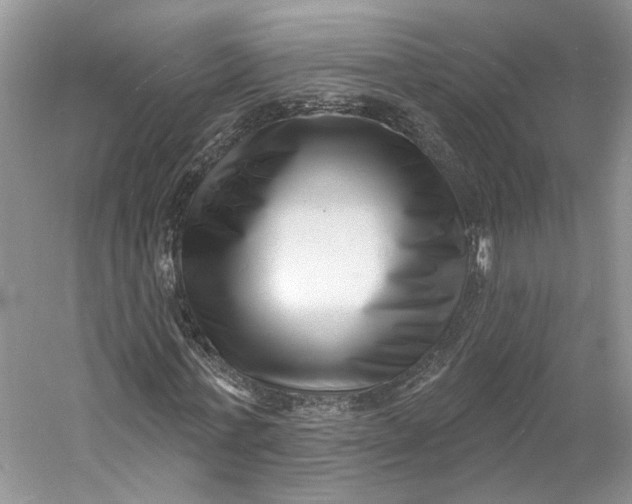 X0000060740771200512011419