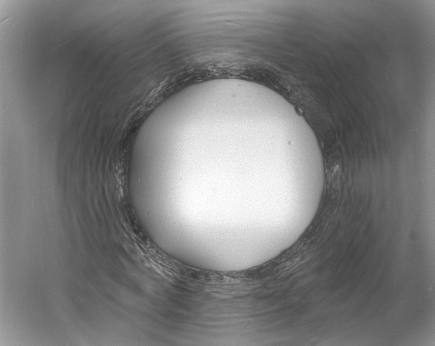 X0000060740772200512011419