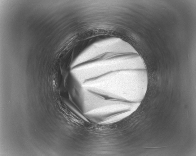 X0000060740774200512011419