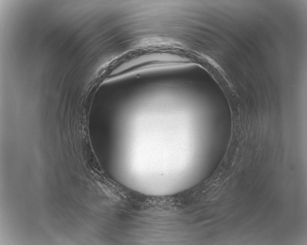 X0000060740775200512011419