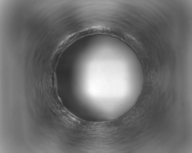 X0000060740776200512011419