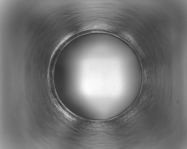 X0000060740780200512011419