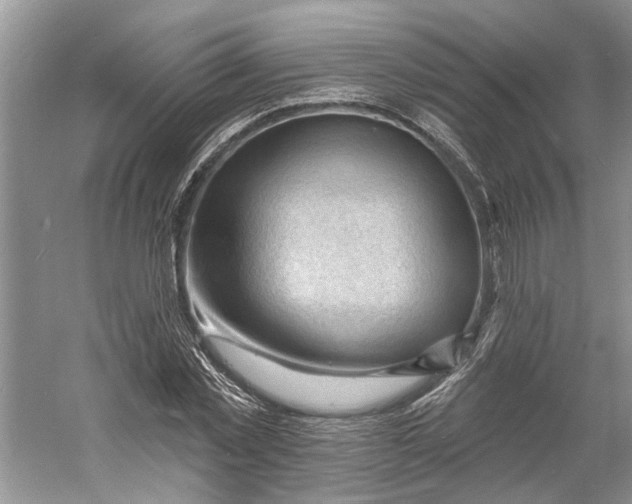 X0000060740781200512011419