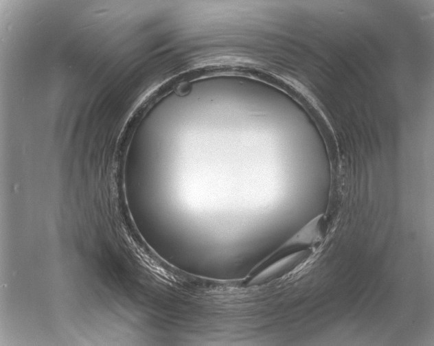 X0000060740783200512011419