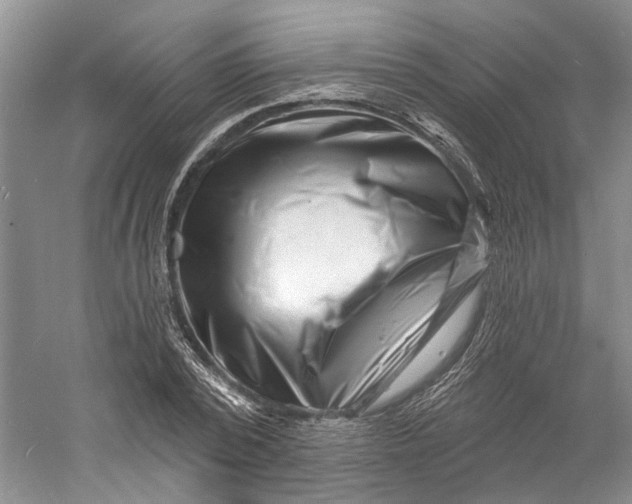 X0000060740784200512011419