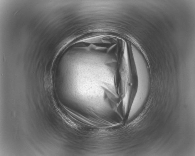 X0000060740787200512011419