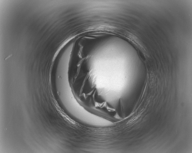 X0000060740788200512011419