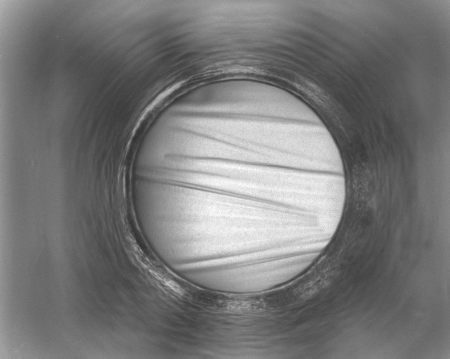 X0000060740790200512011418