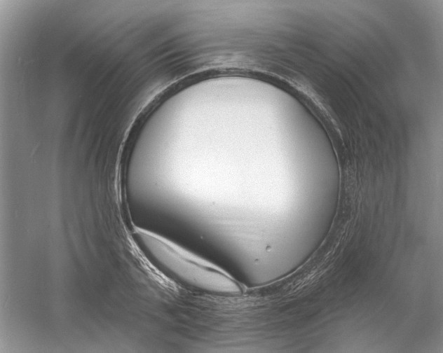 X0000060740791200512011418