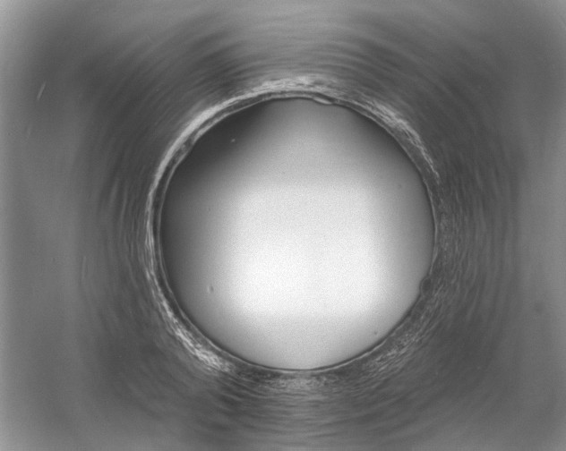 X0000060740792200512011418