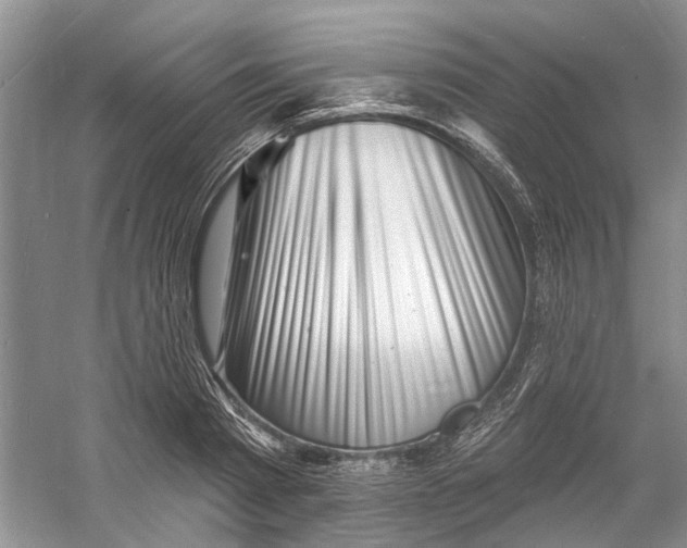 X0000060740793200512011418