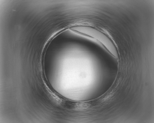 X0000060740795200512011418