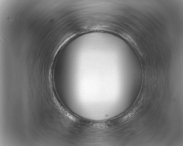 X0000060740798200512011418