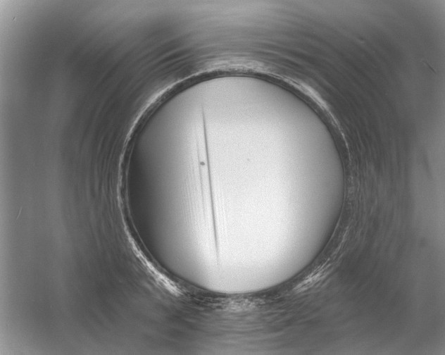 X0000060740799200512011418