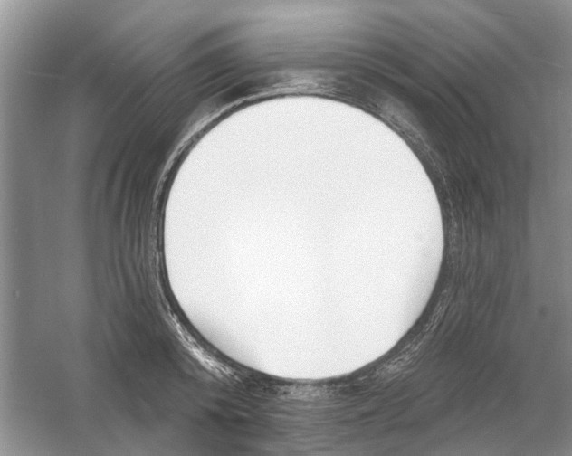 X0000060740800200512011418