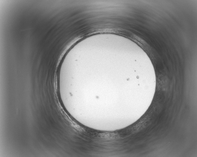 X0000060740804200512011418