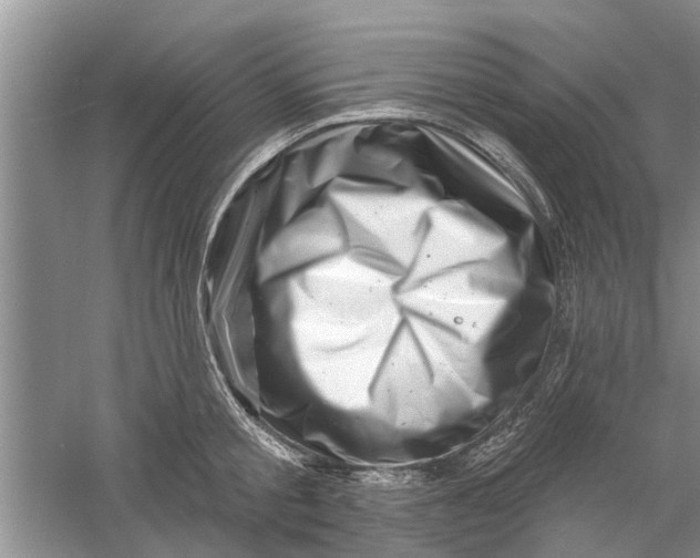 X0000060740805200512011418