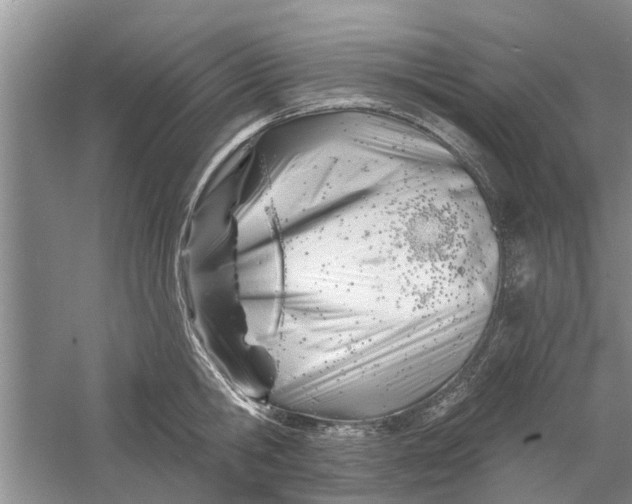 X0000060740806200512011418