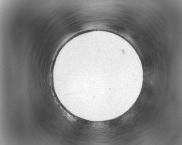 X0000060740807200512011418