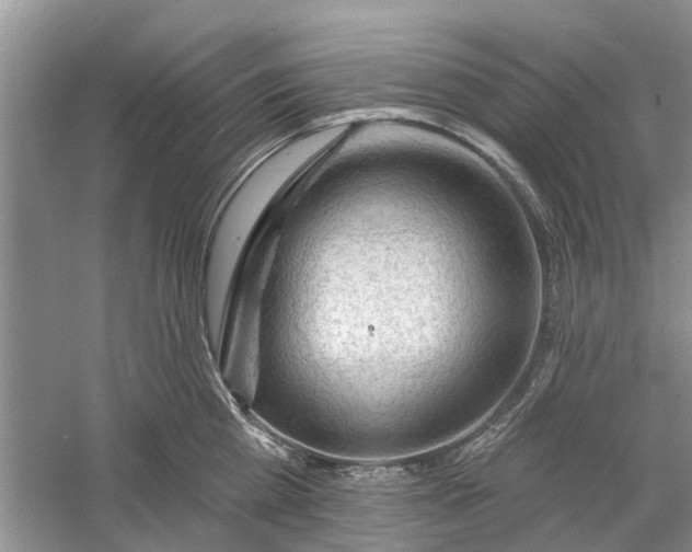 X0000060740809200512011418