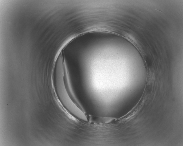 X0000060740812200512011418