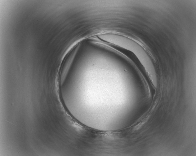 X0000060740814200512011418