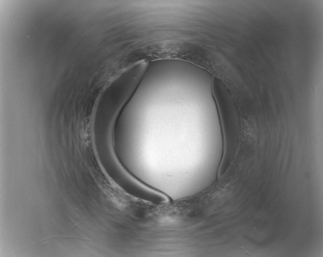 X0000060740818200512011417