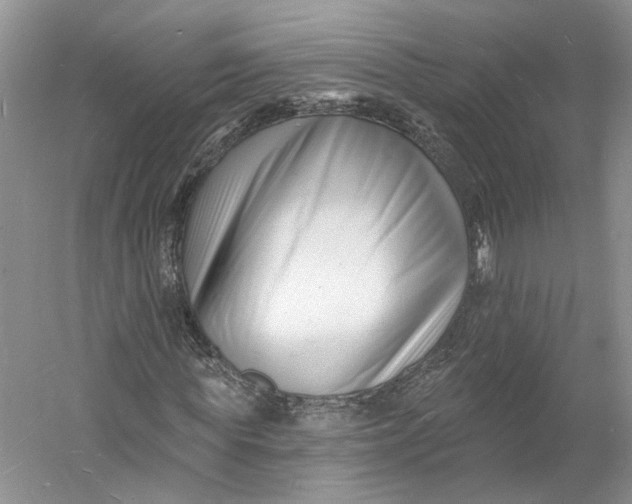 X0000060740819200512011417