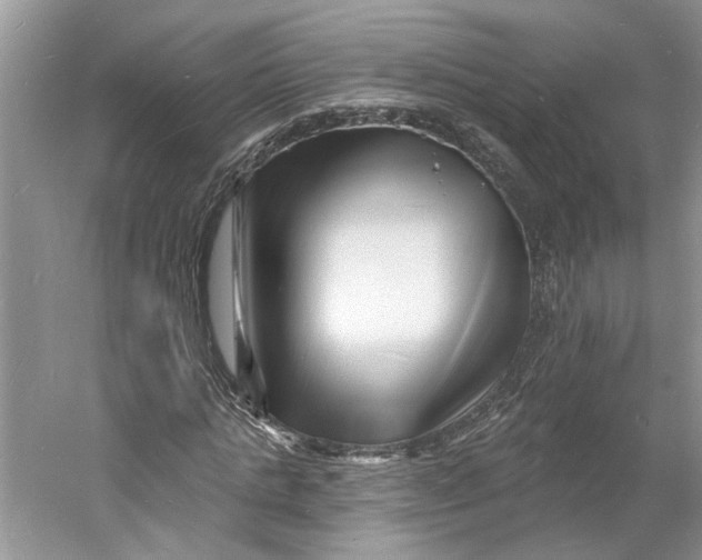 X0000060740821200512011417