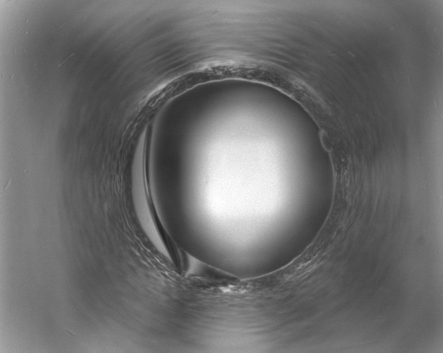 X0000060740822200512011417