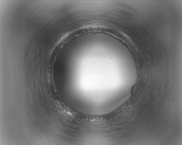 X0000060740823200512011417