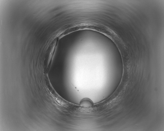 X0000060740825200512011417