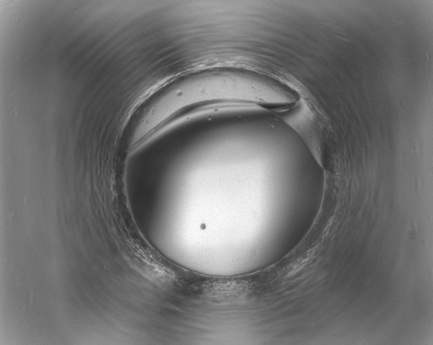 X0000060740826200512011417