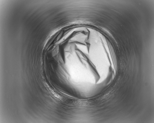 X0000060740831200512011417