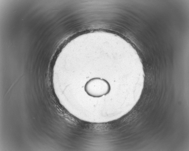 X0000060740832200512011417