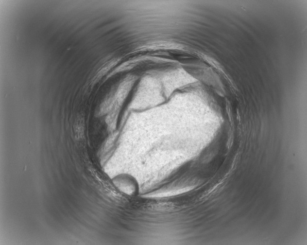 X0000060740833200512011417