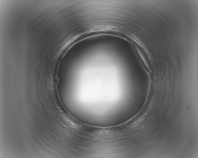 X0000060740834200512011417