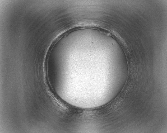 X0000060740840200512011418