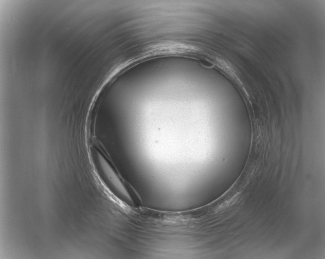 X0000060740843200512011418