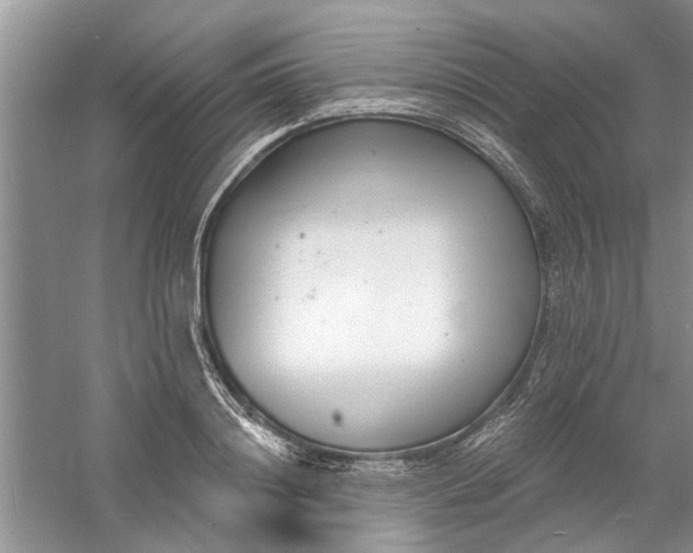 X0000060740844200512011418