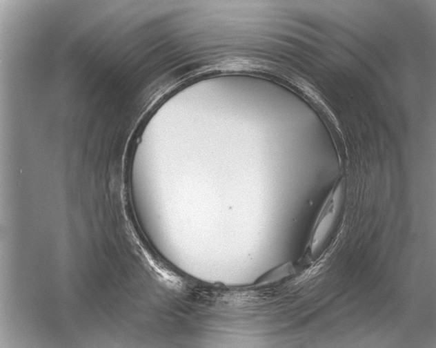 X0000060740845200512011418