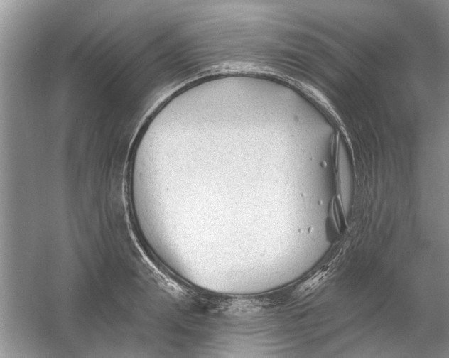 X0000060740847200512011418