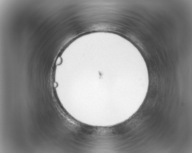 X0000060740848200512011418