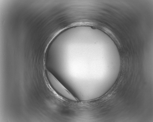 X0000060740852200512011418