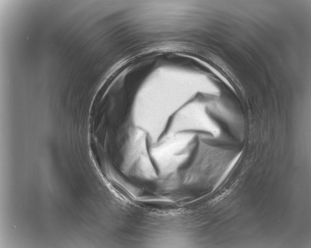 X0000060740853200512011418