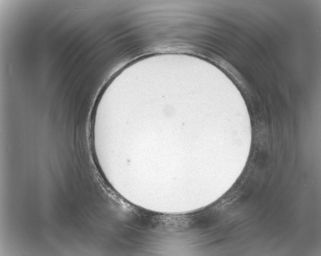 X0000060740856200512011418