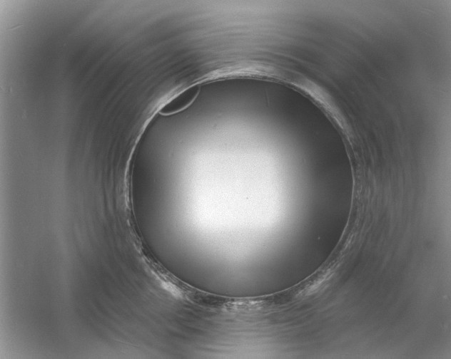 X0000060740858200512011418